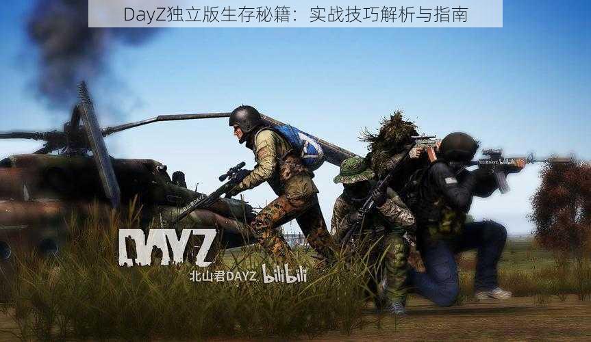 DayZ独立版生存秘籍：实战技巧解析与指南