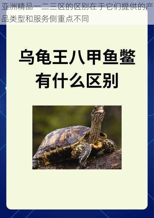 亚洲精品一二三区的区别在于它们提供的产品类型和服务侧重点不同