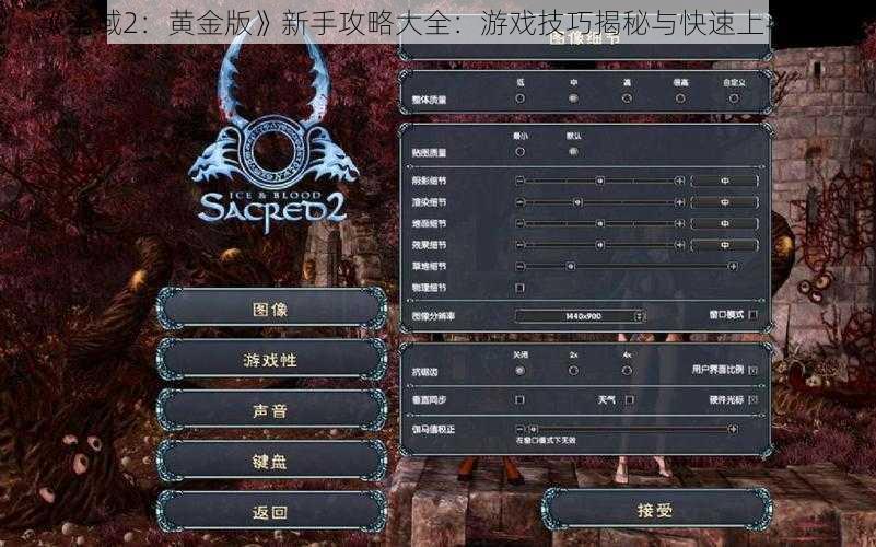 《圣域2：黄金版》新手攻略大全：游戏技巧揭秘与快速上手指南