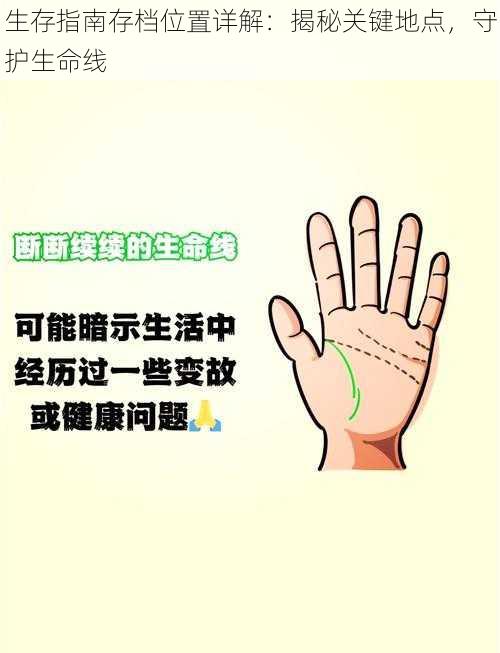 生存指南存档位置详解：揭秘关键地点，守护生命线