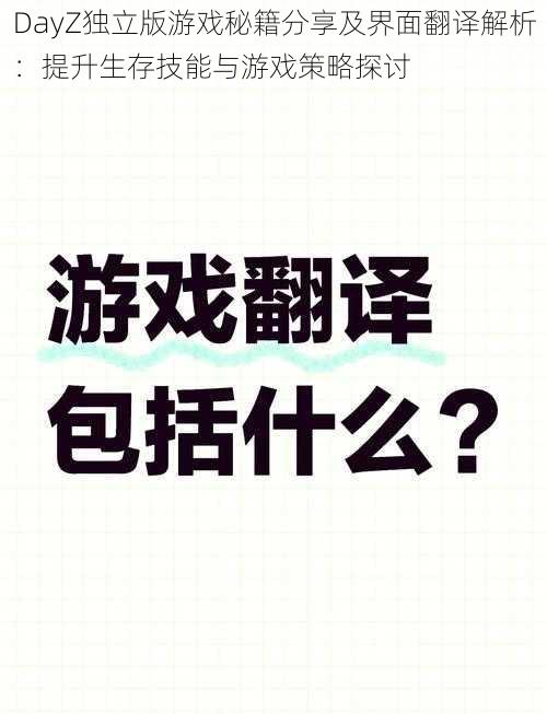 DayZ独立版游戏秘籍分享及界面翻译解析：提升生存技能与游戏策略探讨