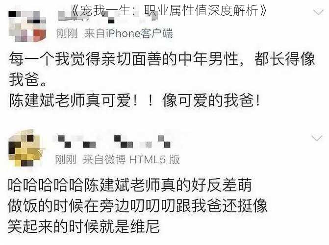 《宠我一生：职业属性值深度解析》