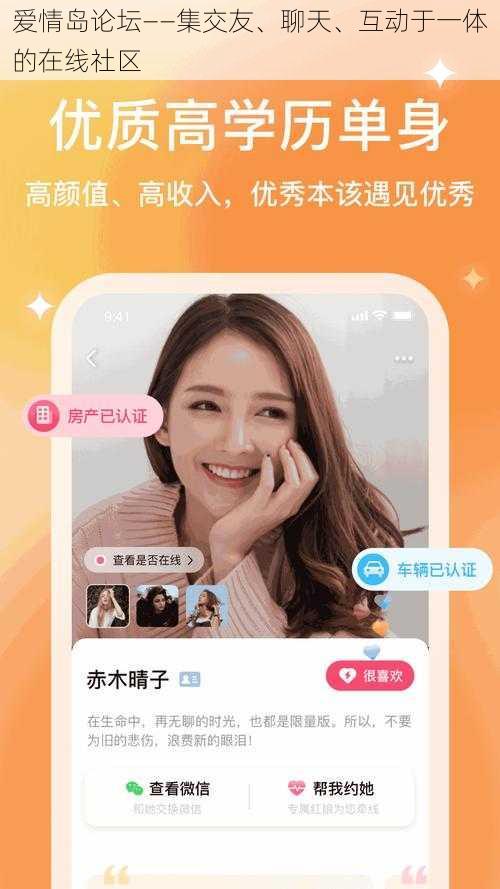 爱情岛论坛——集交友、聊天、互动于一体的在线社区