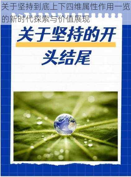 关于坚持到底上下四维属性作用一览的新时代探索与价值展现