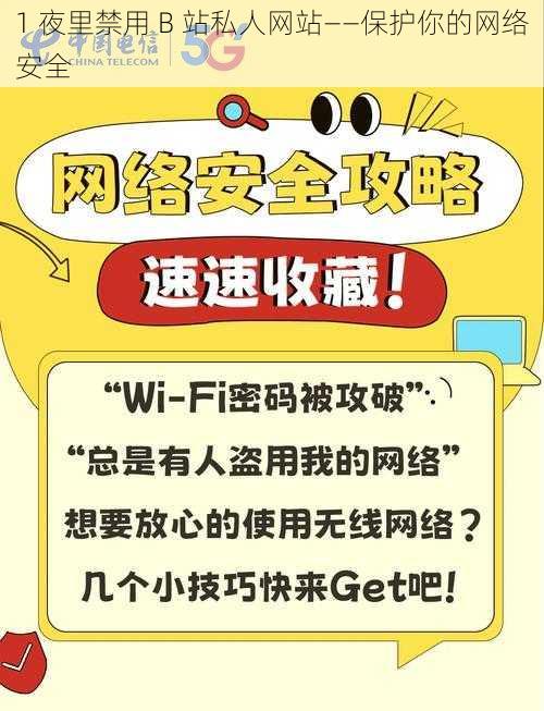 1 夜里禁用 B 站私人网站——保护你的网络安全