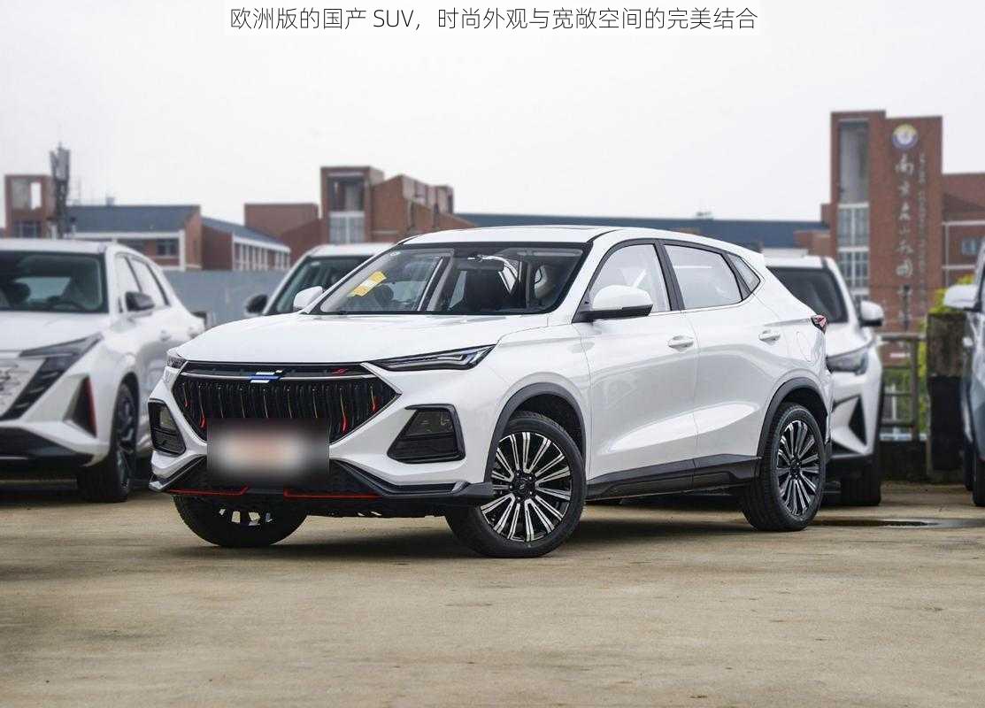 欧洲版的国产 SUV，时尚外观与宽敞空间的完美结合