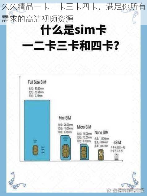 久久精品一卡二卡三卡四卡，满足你所有需求的高清视频资源