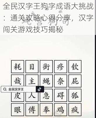 全民汉字王狗字成语大挑战：通关攻略心得分享，汉字闯关游戏技巧揭秘