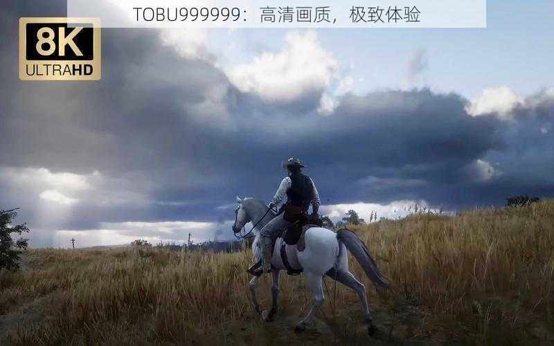 TOBU999999：高清画质，极致体验