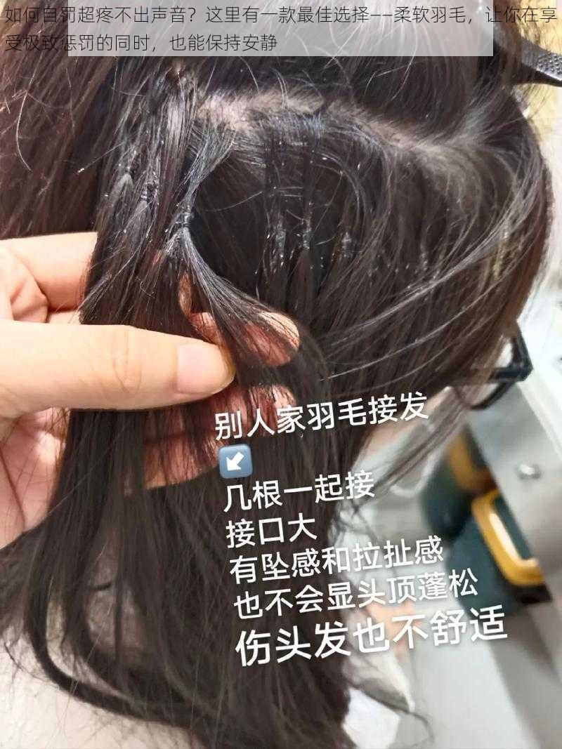 如何自罚超疼不出声音？这里有一款最佳选择——柔软羽毛，让你在享受极致惩罚的同时，也能保持安静