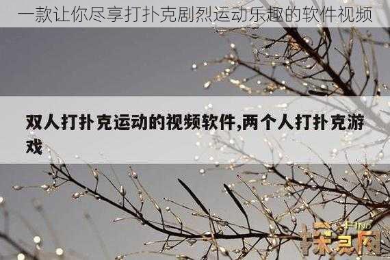 一款让你尽享打扑克剧烈运动乐趣的软件视频