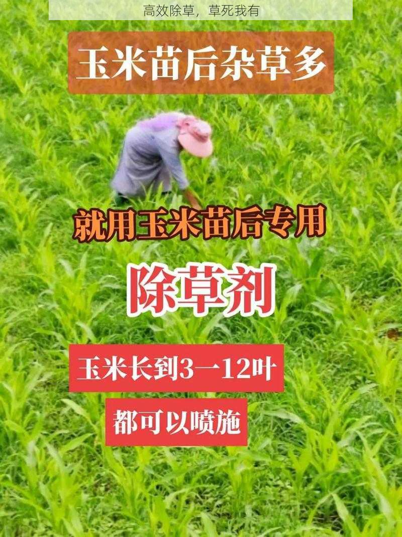 高效除草，草死我有