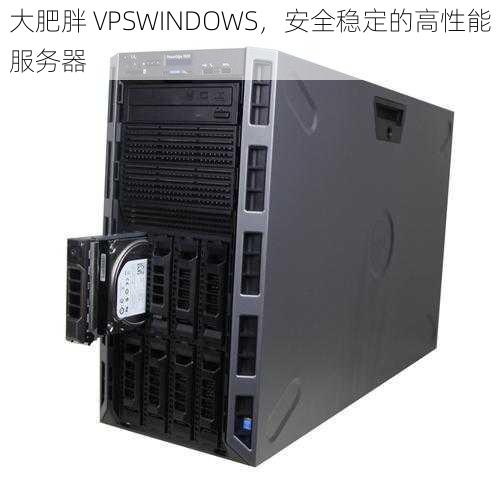 大肥胖 VPSWINDOWS，安全稳定的高性能服务器