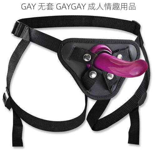 GAY 无套 GAYGAY 成人情趣用品