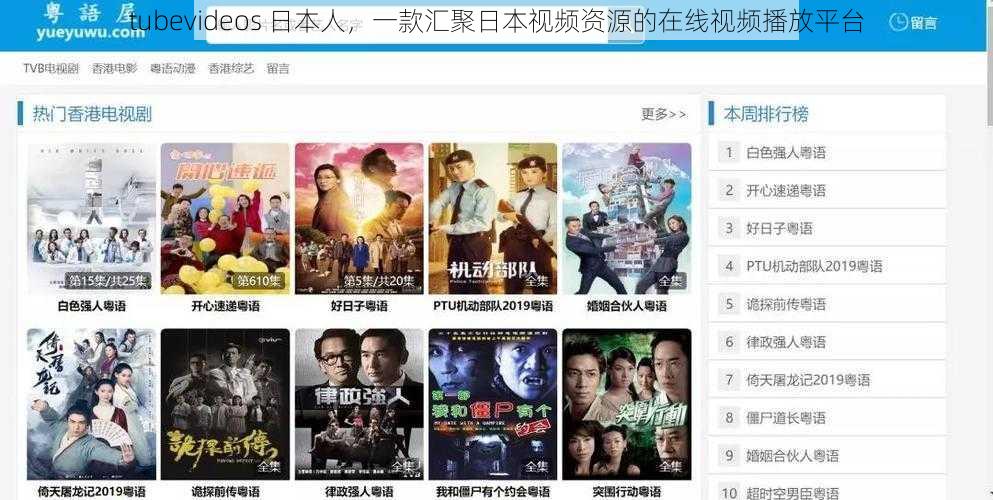 tubevideos 日本人，一款汇聚日本视频资源的在线视频播放平台