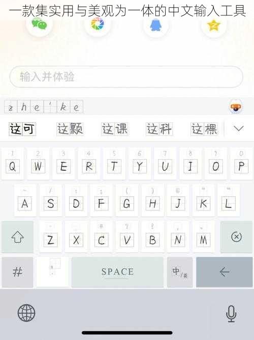 一款集实用与美观为一体的中文输入工具