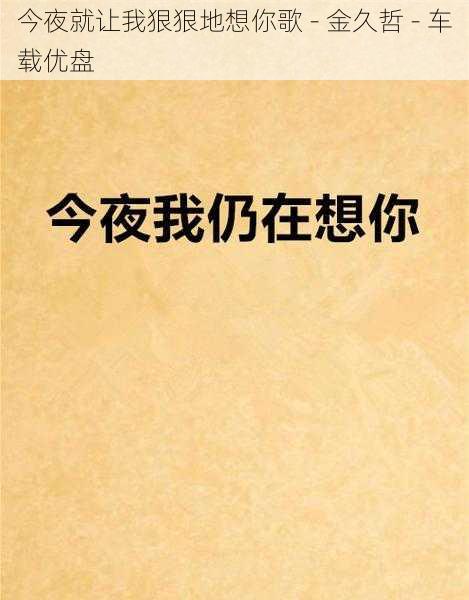 今夜就让我狠狠地想你歌 - 金久哲 - 车载优盘