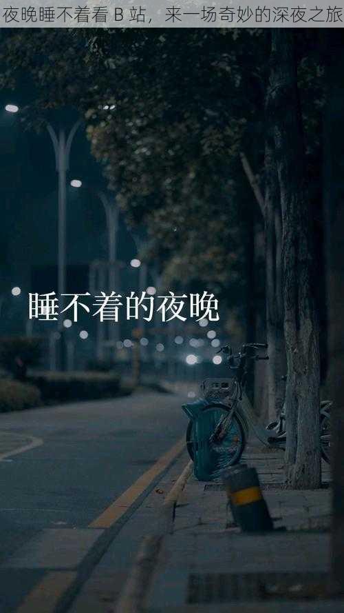 夜晚睡不着看 B 站，来一场奇妙的深夜之旅