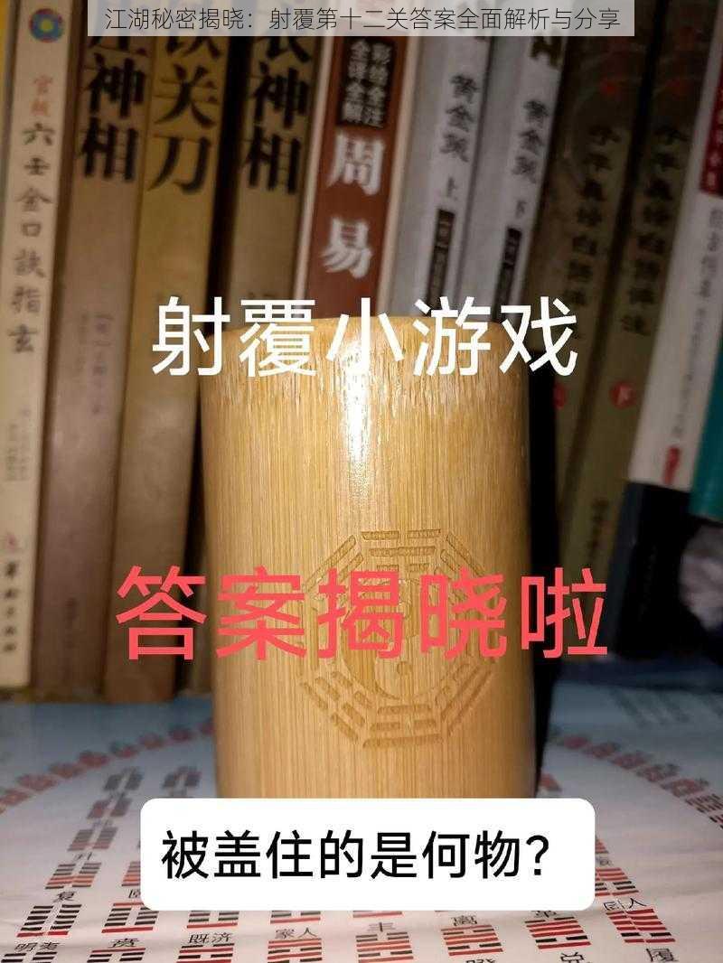 江湖秘密揭晓：射覆第十二关答案全面解析与分享