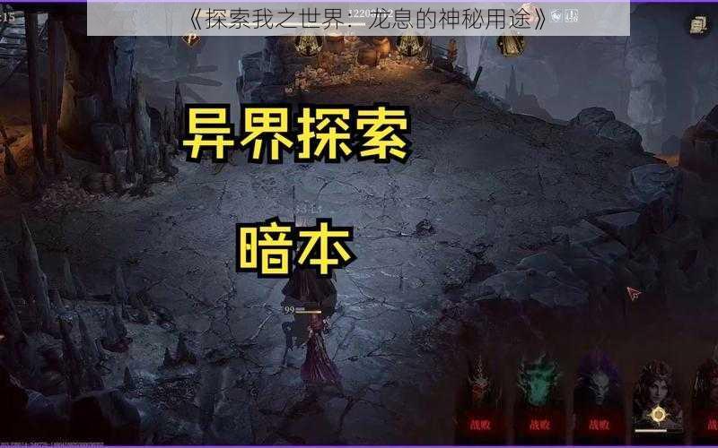 《探索我之世界：龙息的神秘用途》