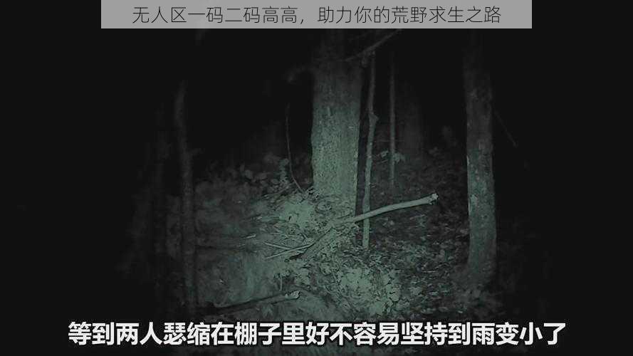 无人区一码二码高高，助力你的荒野求生之路