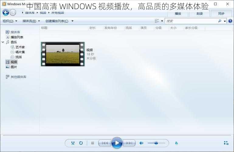 中国高清 WINDOWS 视频播放，高品质的多媒体体验