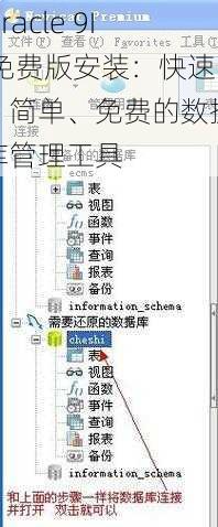 Oracle 9I 免费版安装：快速、简单、免费的数据库管理工具