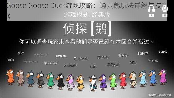 《Goose Goose Duck游戏攻略：通灵鹅玩法详解与技巧分享》