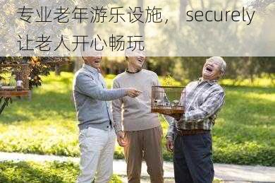 专业老年游乐设施， securely 让老人开心畅玩