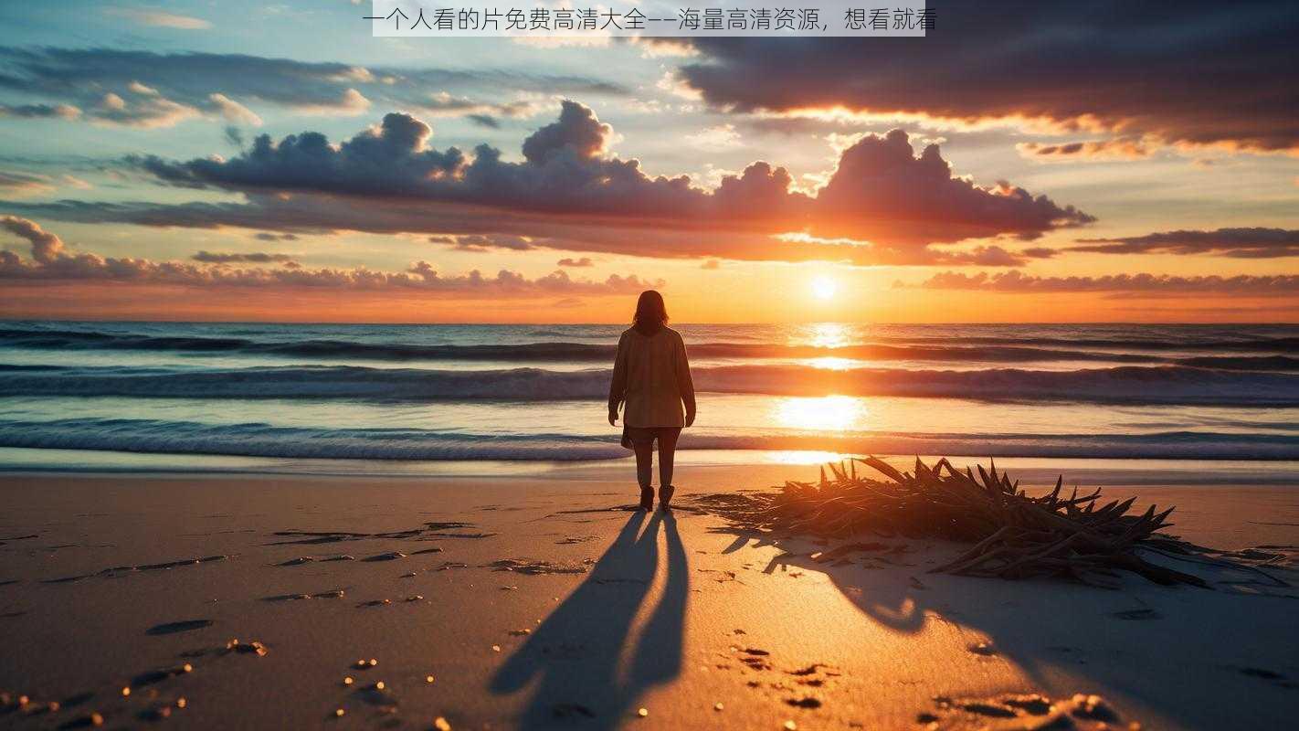 一个人看的片免费高清大全——海量高清资源，想看就看