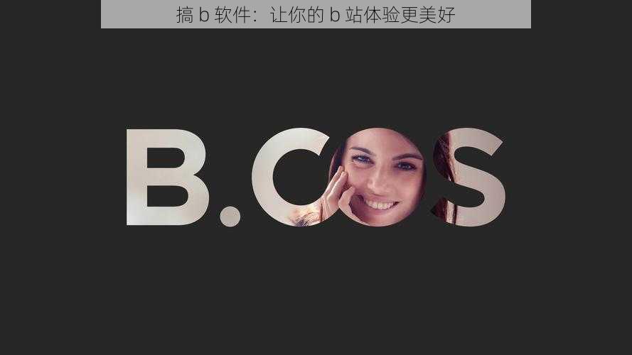 搞 b 软件：让你的 b 站体验更美好