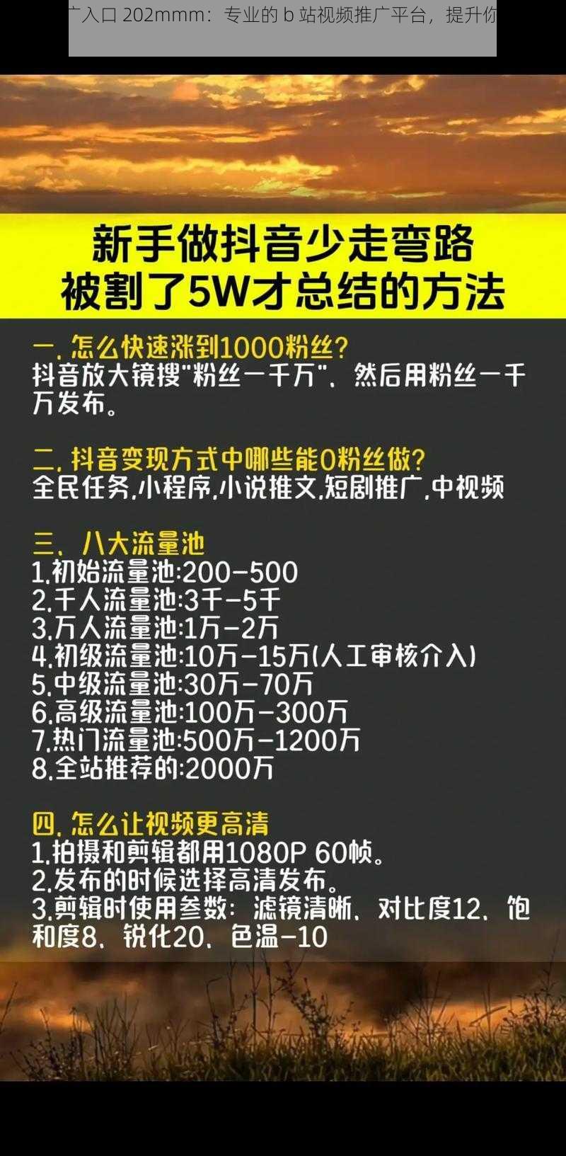 b 站推广入口 202mmm：专业的 b 站视频推广平台，提升你的视频曝光量