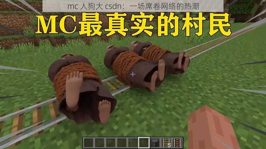 mc 人狗大 csdn：一场席卷网络的热潮