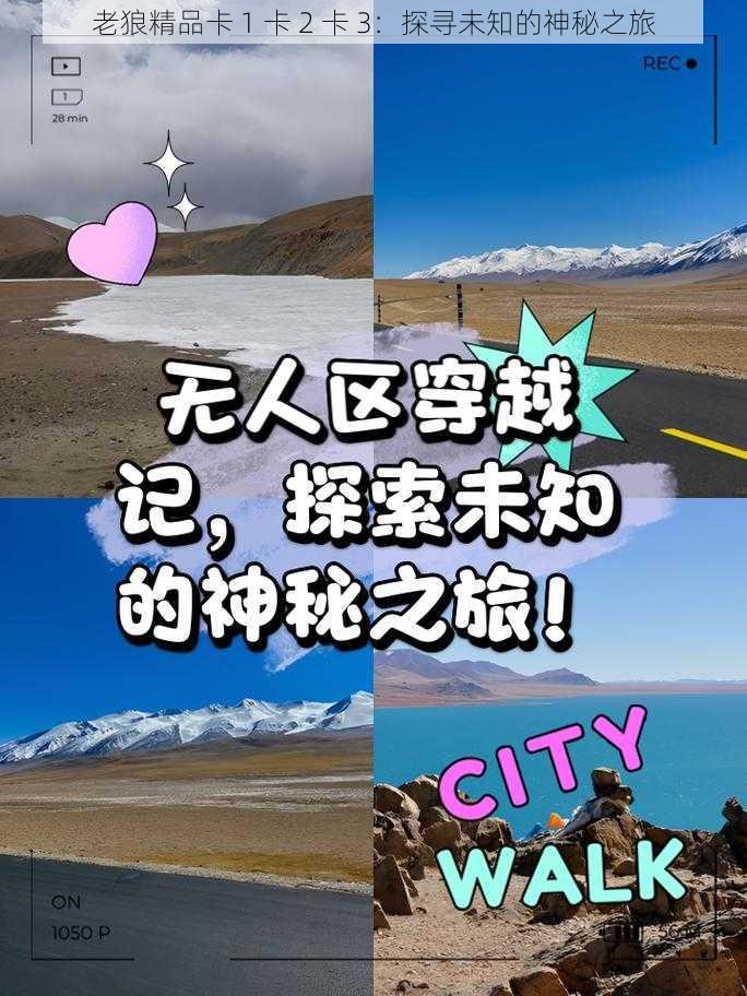 老狼精品卡 1 卡 2 卡 3：探寻未知的神秘之旅