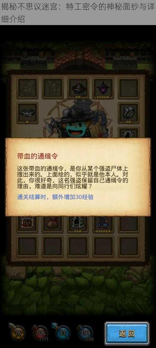 揭秘不思议迷宫：特工密令的神秘面纱与详细介绍