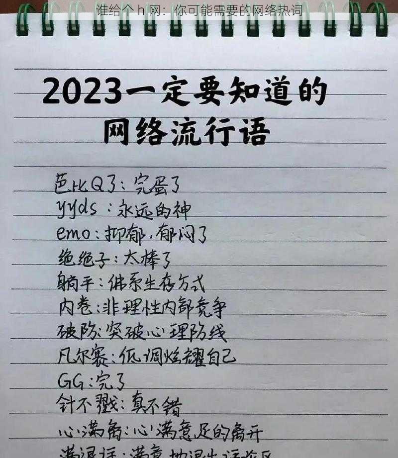 谁给个 h 网：你可能需要的网络热词