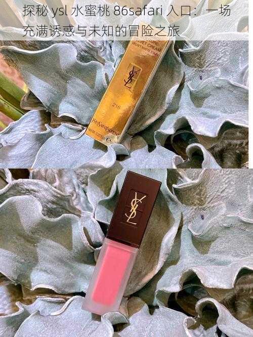 探秘 ysl 水蜜桃 86safari 入口：一场充满诱惑与未知的冒险之旅