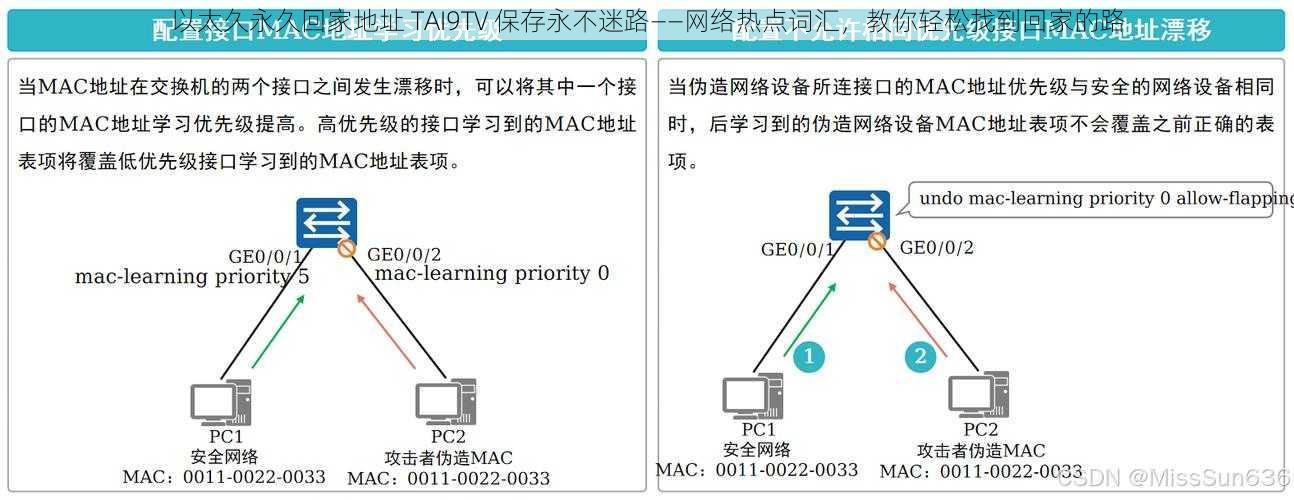 以太久永久回家地址 TAI9TV 保存永不迷路——网络热点词汇，教你轻松找到回家的路