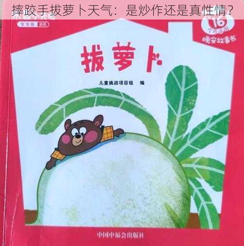 摔跤手拔萝卜天气：是炒作还是真性情？