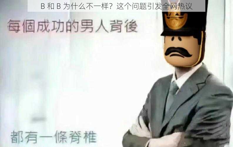 B 和 B 为什么不一样？这个问题引发全网热议