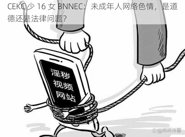 CEKC 少 16 女 BNNEC：未成年人网络色情，是道德还是法律问题？