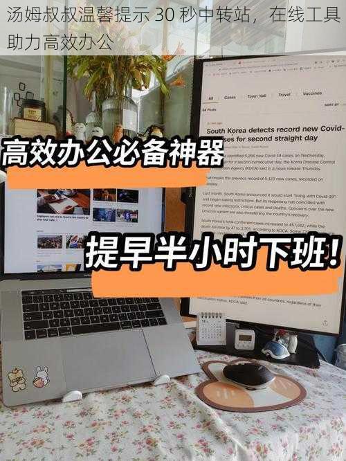 汤姆叔叔温馨提示 30 秒中转站，在线工具助力高效办公